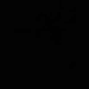 Meet your Posher, Jairo